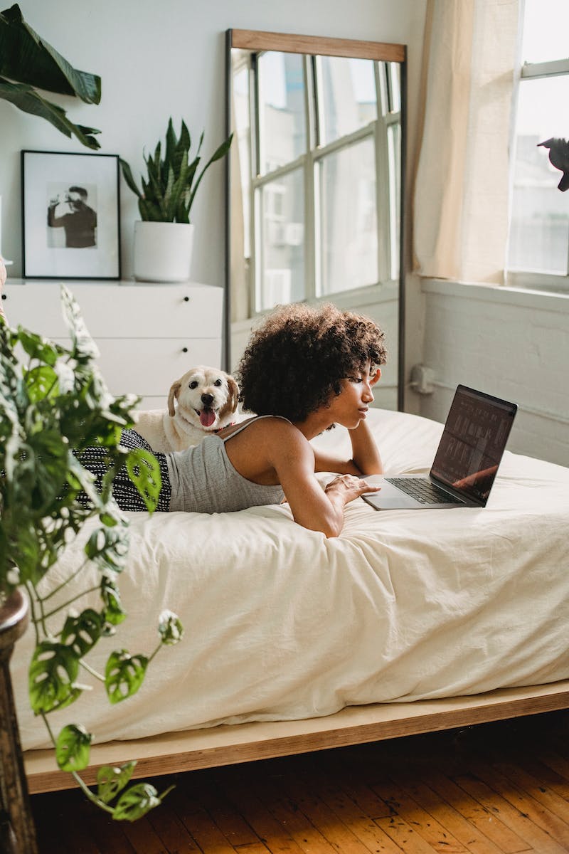 Relaxed black woman watching laptop near dog on bed