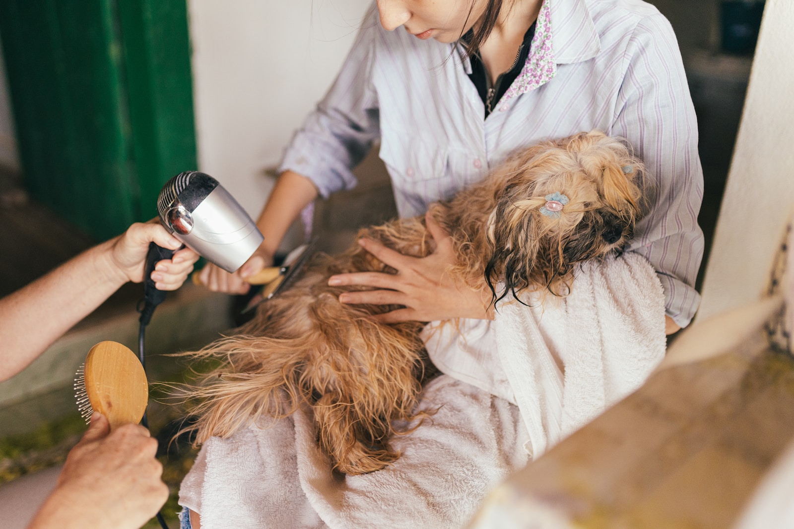 woman in white robe holding hair blower pet care
